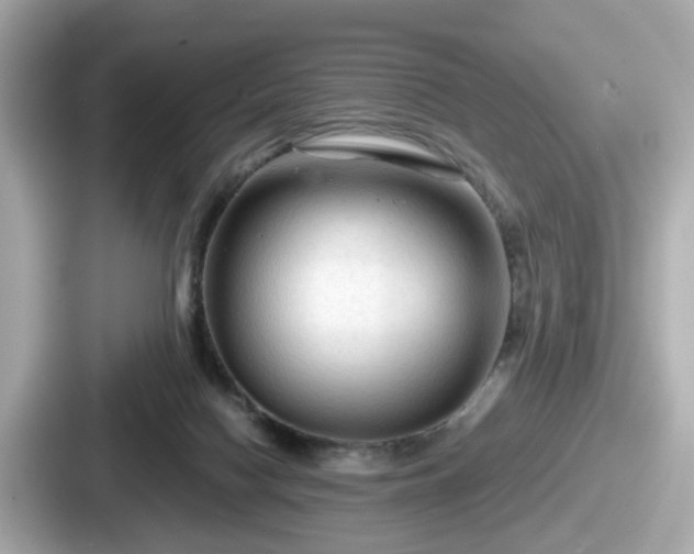 X0000087640074200705101056