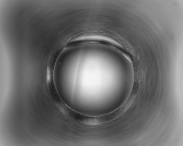 X0000087640075200705101056