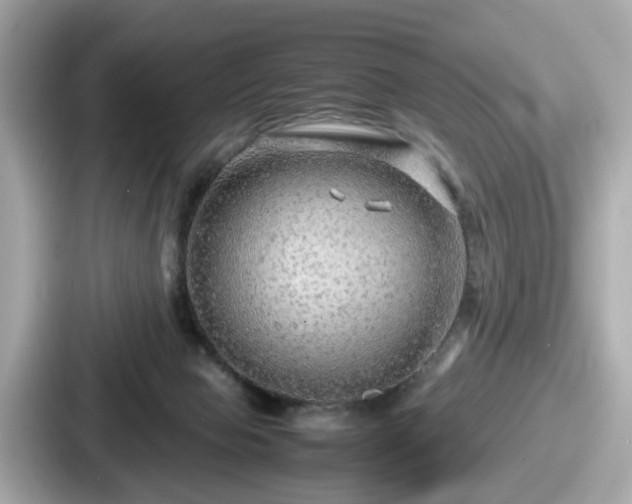 X0000087640077200705101056