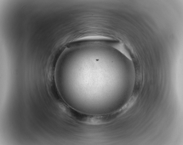 X0000087640078200705101056