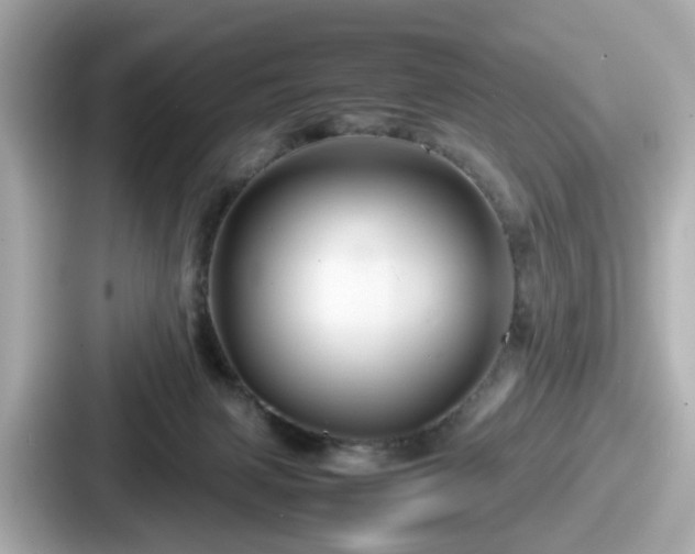 X0000087640079200705101056