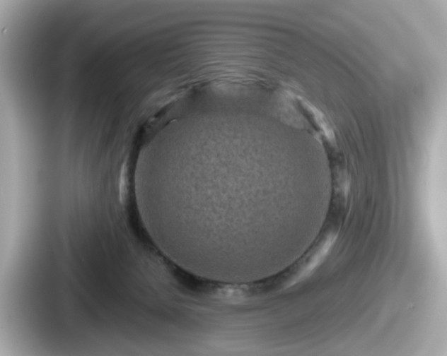 X0000087640080200705101056