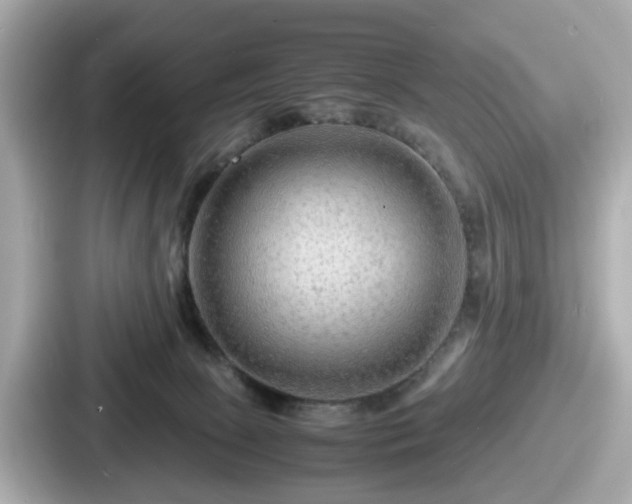 X0000087640081200705101056