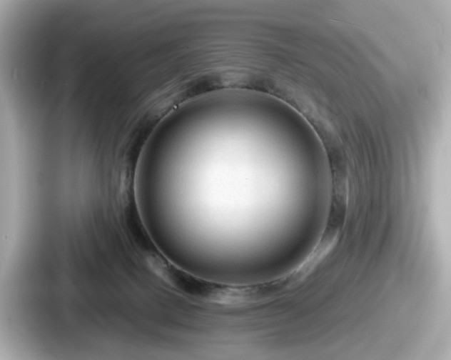 X0000087640082200705101056