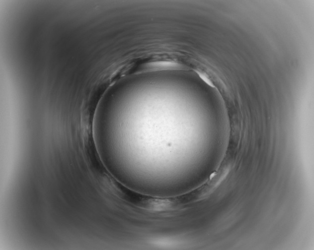 X0000087640085200705101056