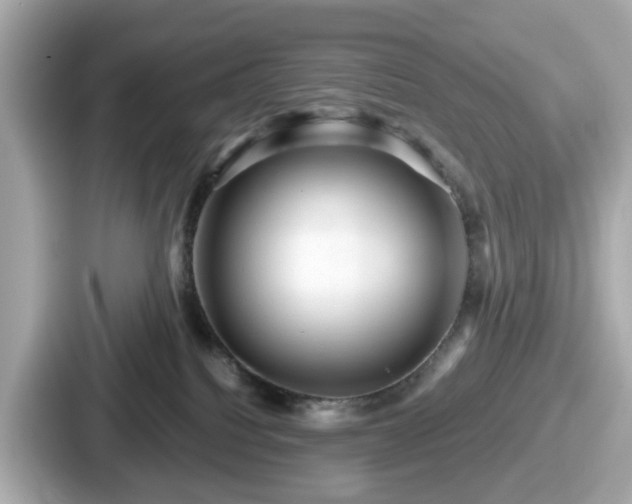 X0000087640088200705101056