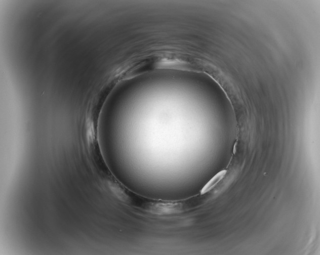 X0000087640089200705101056