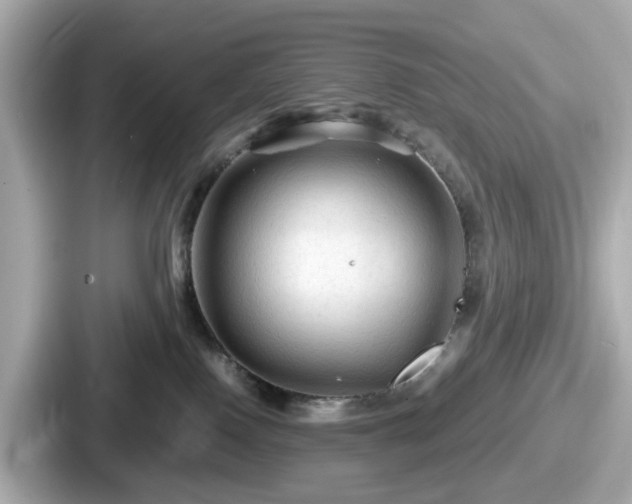 X0000087640090200705101056