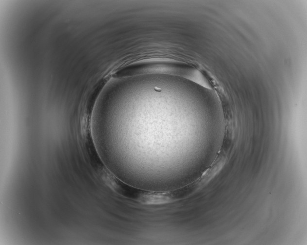 X0000087640093200705101056