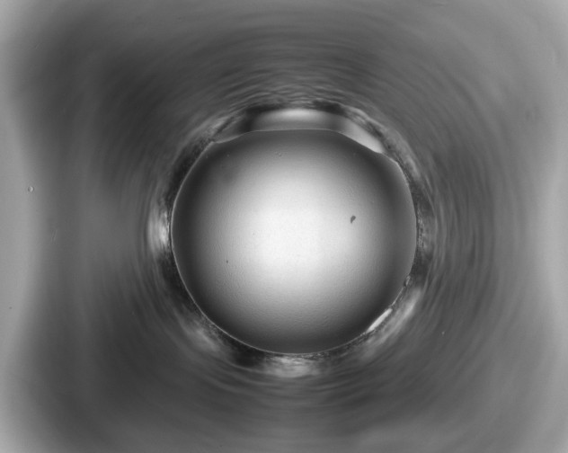 X0000087640095200705101056