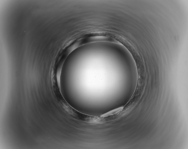 X0000087640096200705101056