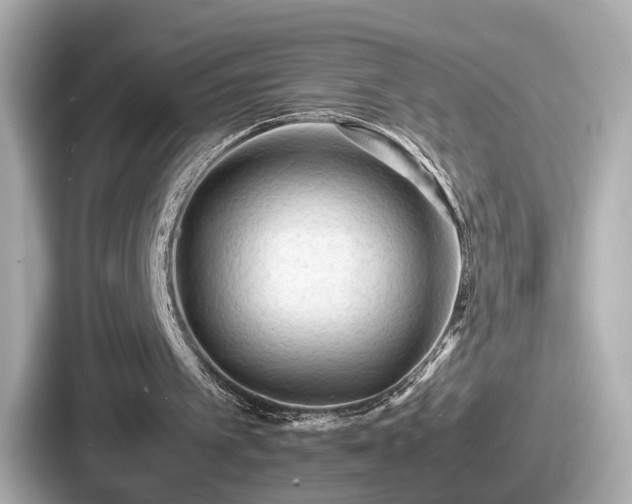 X0000087640097200705101055