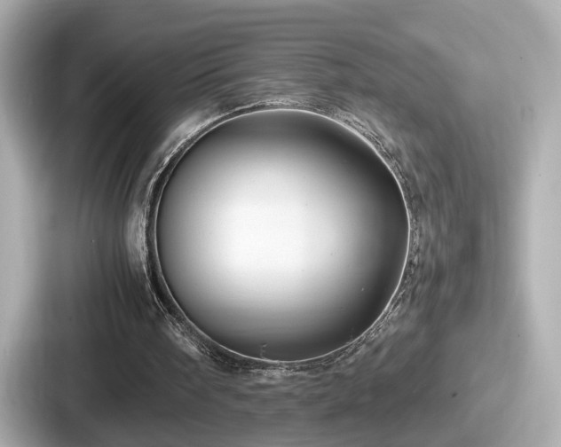 X0000087640098200705101055