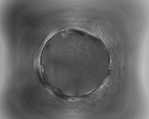 X0000087640099200705101055