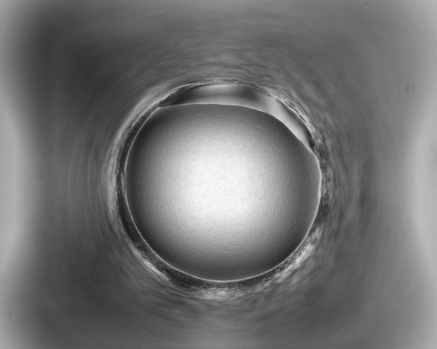 X0000087640101200705101055