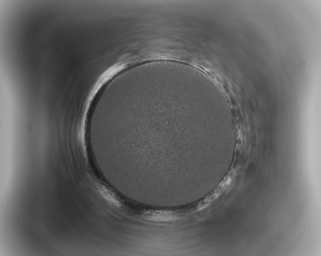 X0000087640104200705101055