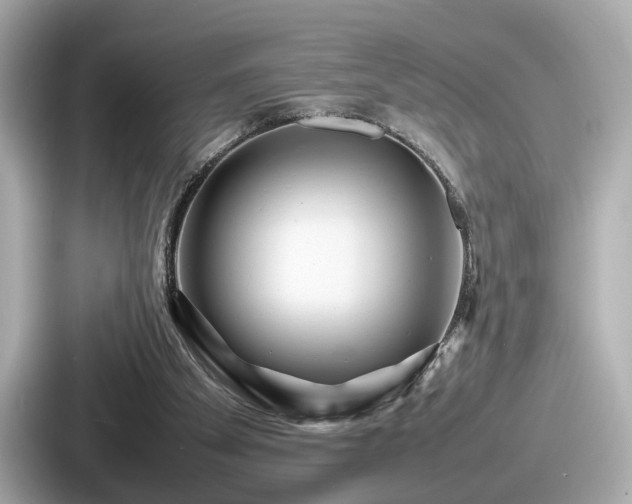 X0000087640105200705101055