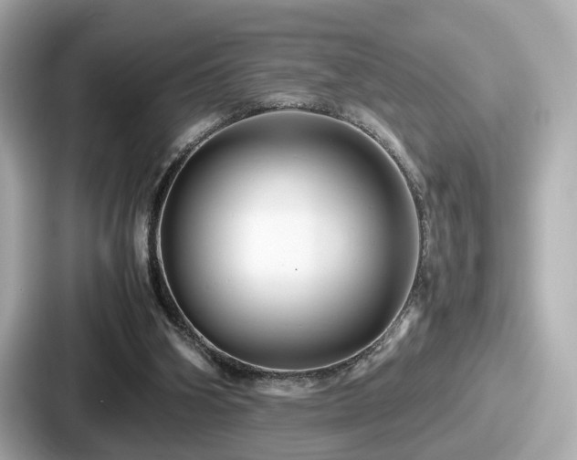 X0000087640106200705101055