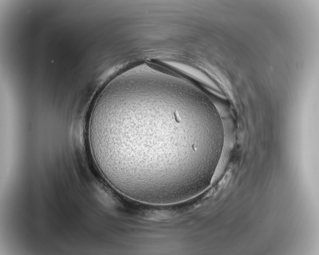 X0000087640107200705101055