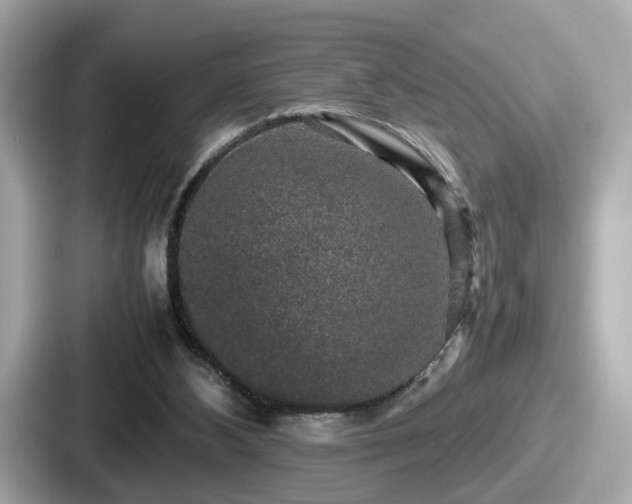 X0000087640108200705101055