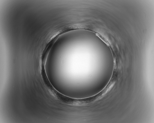 X0000087640109200705101055