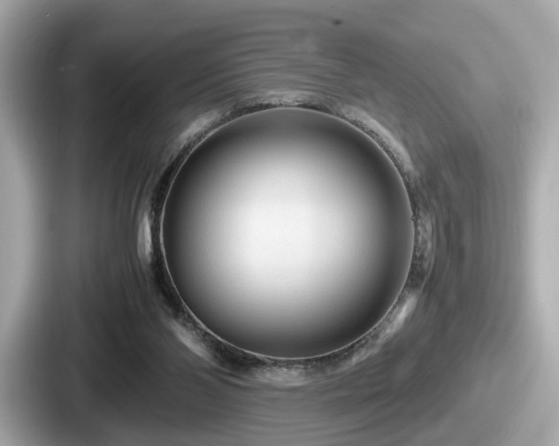 X0000087640110200705101055