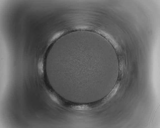 X0000087640112200705101055