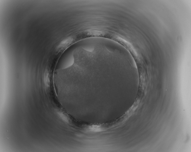 X0000087640114200705101055