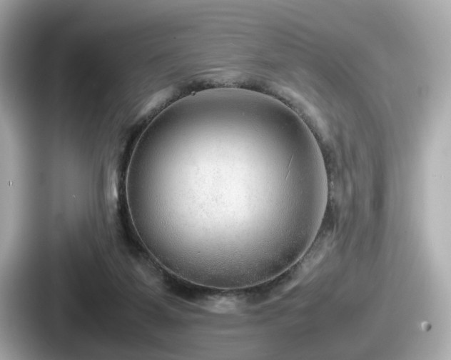 X0000087640115200705101055