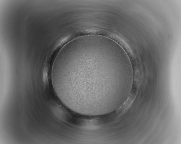 X0000087640116200705101055