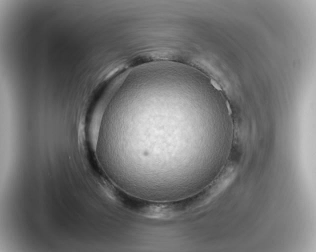 X0000087640117200705101055