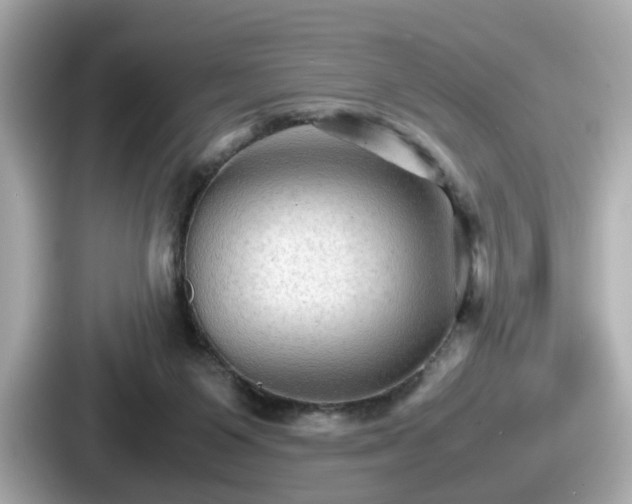 X0000087640119200705101055