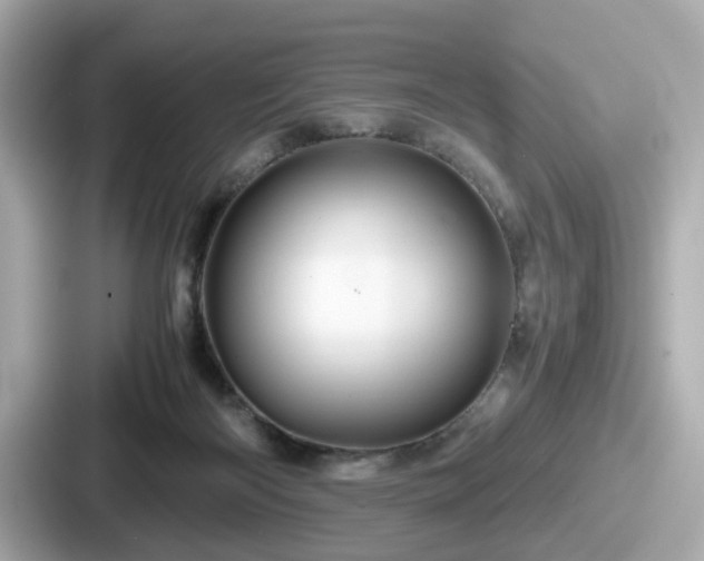 X0000087640122200705101055