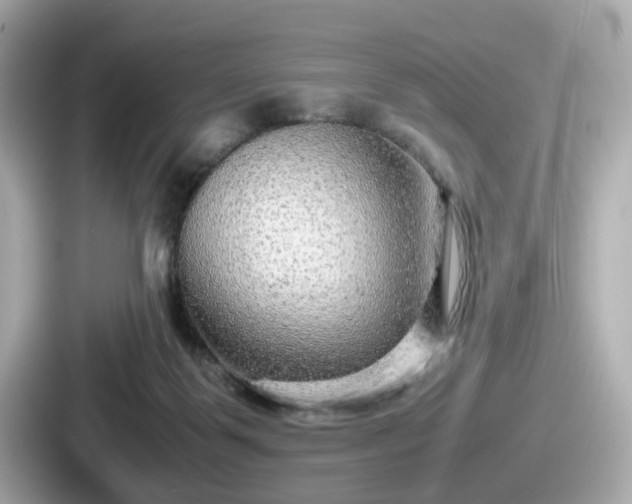 X0000087640123200705101055