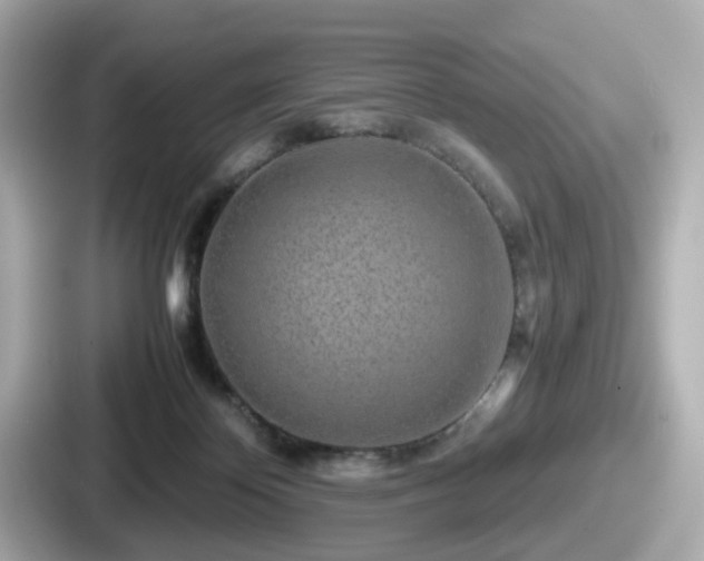 X0000087640124200705101055