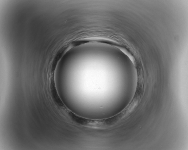 X0000087640125200705101055