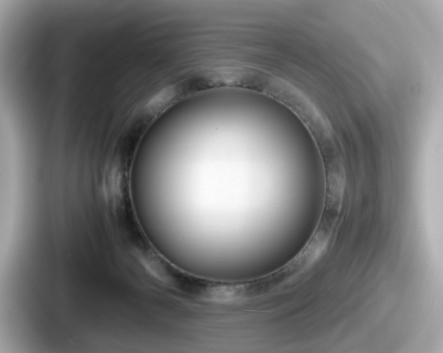 X0000087640126200705101055