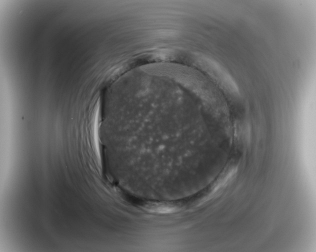 X0000087640127200705101055