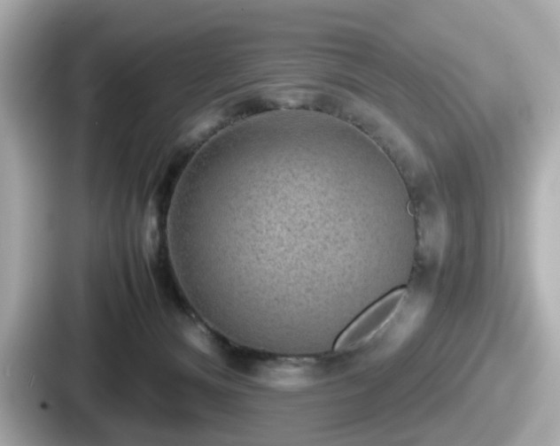 X0000087640128200705101055