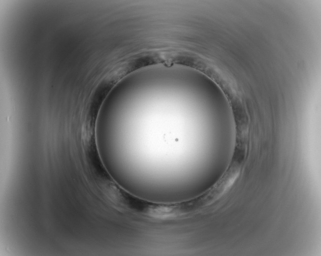 X0000087640129200705101055