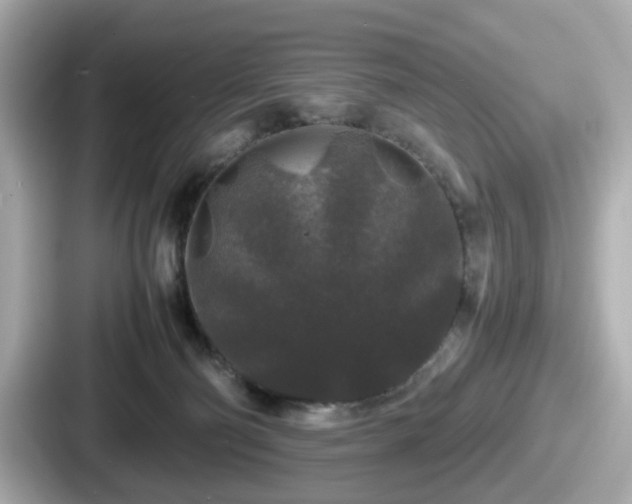 X0000087640130200705101055