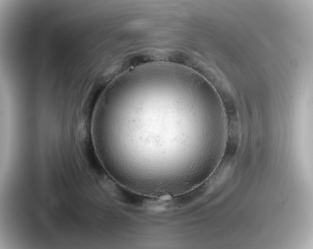 X0000087640131200705101055