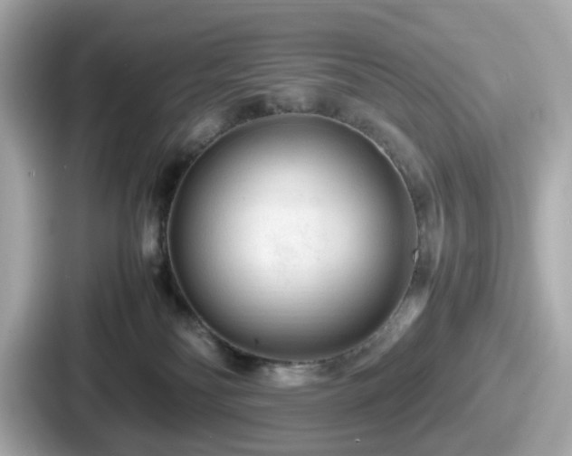 X0000087640134200705101055