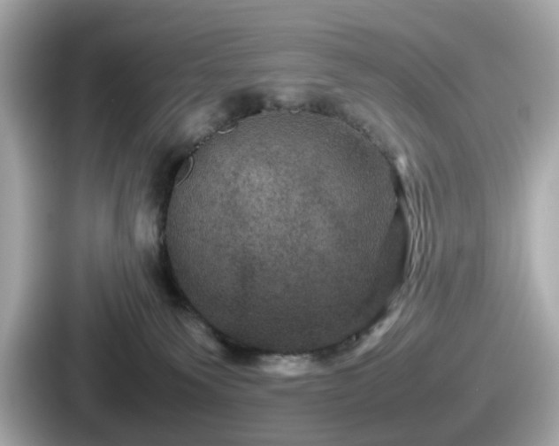 X0000087640135200705101055