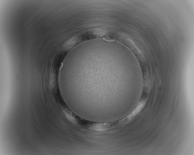 X0000087640136200705101055