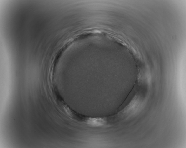 X0000087640137200705101055