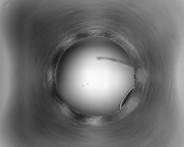 X0000087640138200705101055