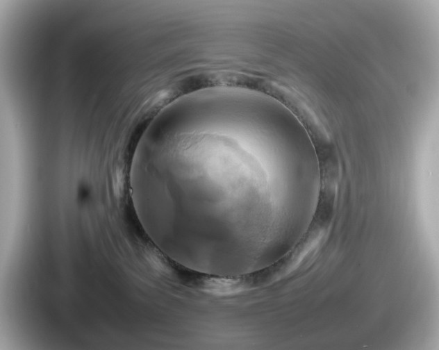 X0000087640139200705101055