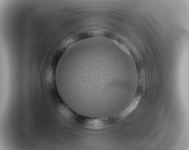 X0000087640140200705101055