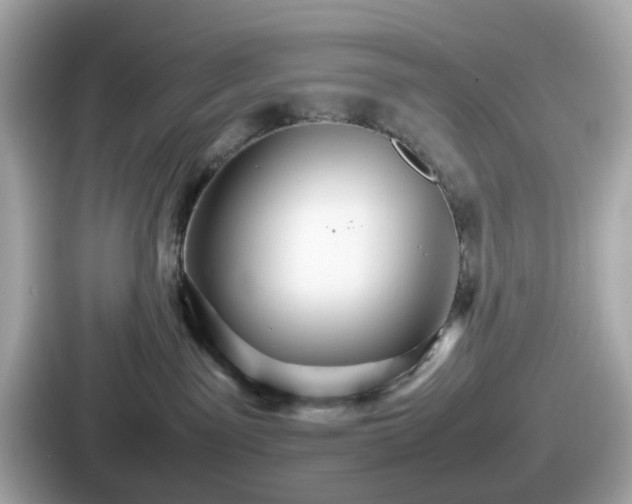 X0000087640141200705101055